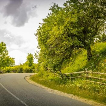 jud_cluj_aug6-350x350