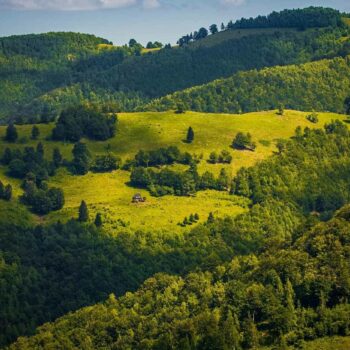 jud_cluj_aug7-350x350