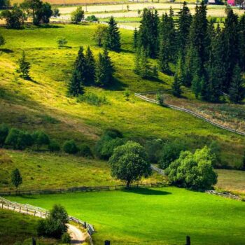 jud_cluj_aug9-350x350