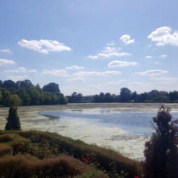 castelul_mogosoaia12-1-350x350