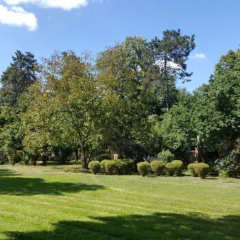 castelul_mogosoaia14-1-350x350