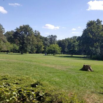 castelul_mogosoaia15-1-350x350