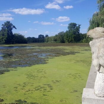 castelul_mogosoaia4-1-350x350