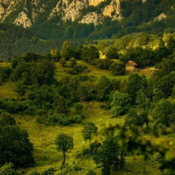 romania_sept-350x350