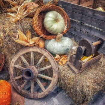 romania_sept10-350x350