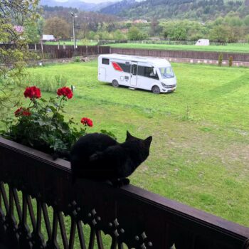 camping_bacau12-350x350