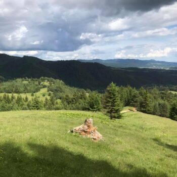 camping_bacau13-350x350