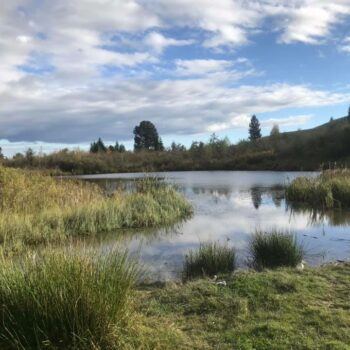 camping_bacau14-350x350