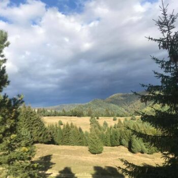 camping_bacau15-350x350