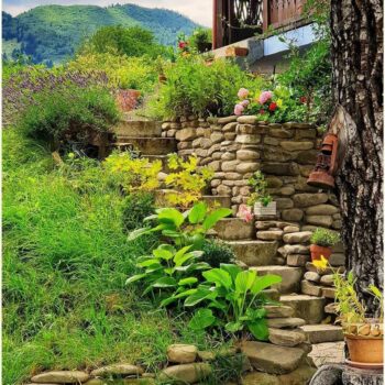 camping_bacau5-350x350