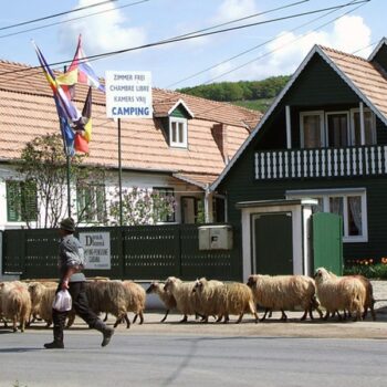 camping_sibiu3-350x350