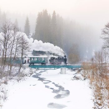 Mocanita_Moldovita-350x350