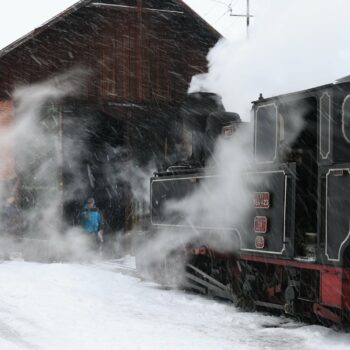 Mocanita_Moldovita4-350x350