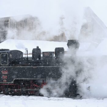 Mocanita_Moldovita5-350x350