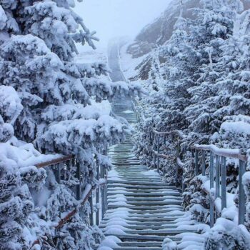 Varful_toaca-350x350