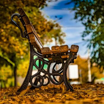 Iasi_2021_11-350x350