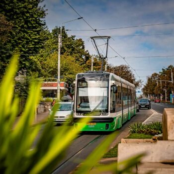 Iasi_2021_15-350x350