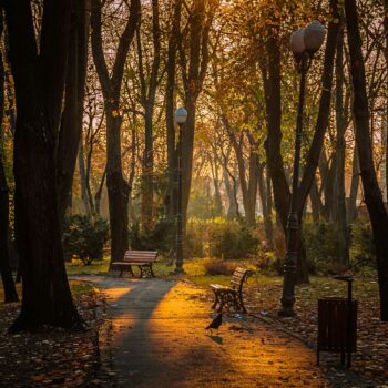 Iasi_2021_26-350x350