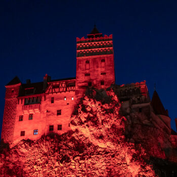 bran_january1-350x350