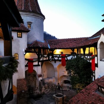 bran_january3-350x350