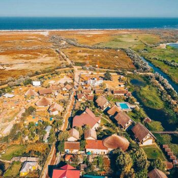 dolphin_camping-350x350