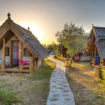 dolphin_camping1-350x350