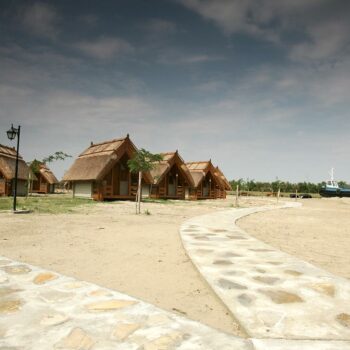 dolphin_camping2-350x350