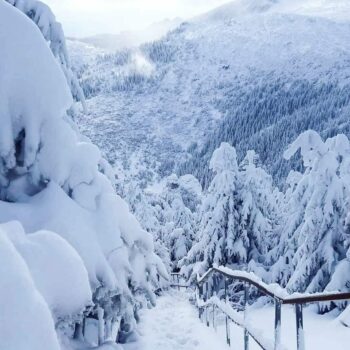 winter-neamt-350x350