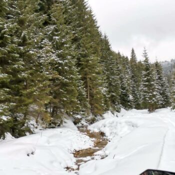 lunca_de_sus1-350x350