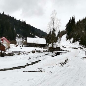 lunca_de_sus5-350x350