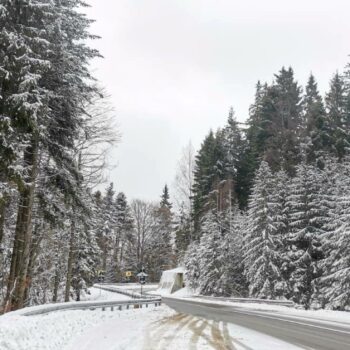 lunca_de_sus6-350x350