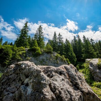 muntii_rarau-350x350