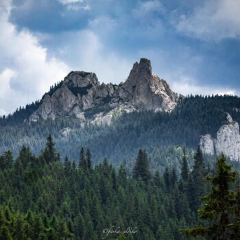 muntii_rarau1-350x350