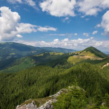 muntii_rarau2-350x350