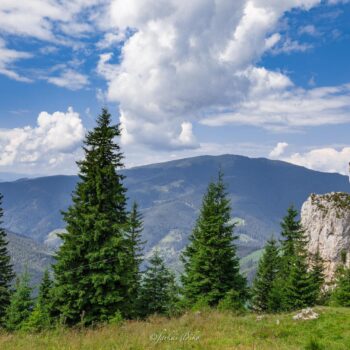 muntii_rarau3-350x350