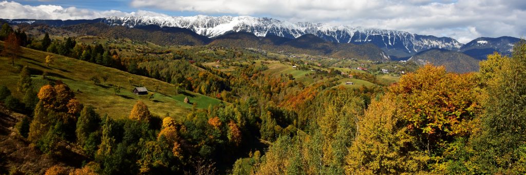 nature-slide-02-1024x341-1