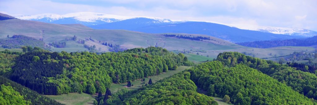 nature-slide-19-1-1024x341-1