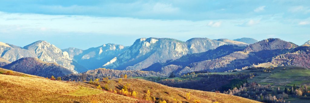 nature-slide-21-1024x341-1