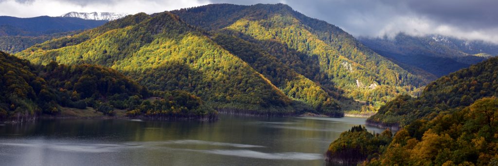 nature-slide-22-1024x341-1