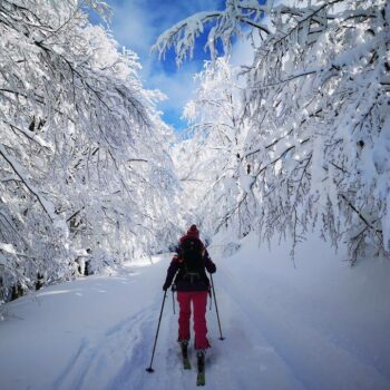 pasul_valcan12-350x350