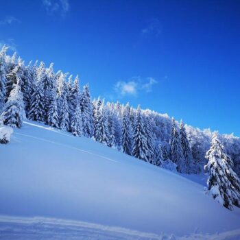 pasul_valcan2-350x350