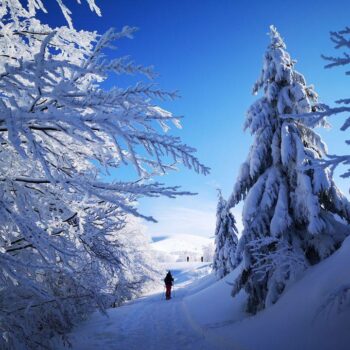 pasul_valcan4-350x350