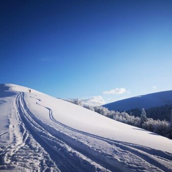 pasul_valcan5-350x350