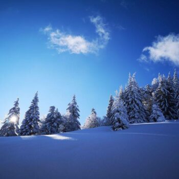 pasul_valcan6-350x350