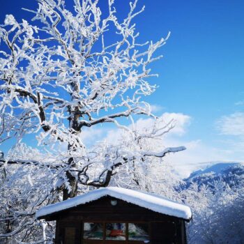 pasul_valcan9-350x350