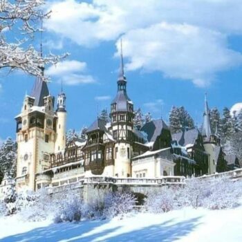 peles_straie_iarna-350x350