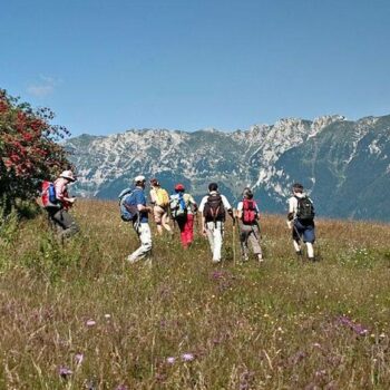 piatra_craiului1-350x350