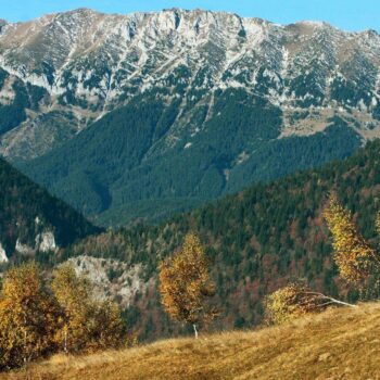 piatra_craiului10-350x350