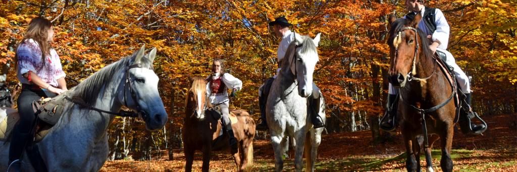 reit-slide-04-1024x341-1