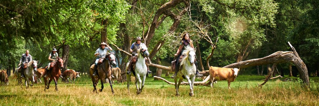 reit-slide-kombi-wanderritt-1024x341-1